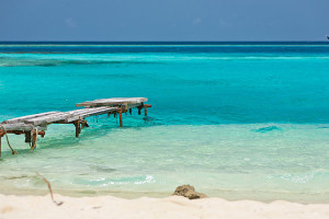_MG_0862-p