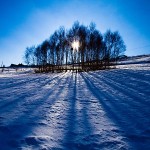 _MG_5423-p