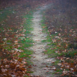 _MG_5715-p