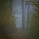_MG_5761-p