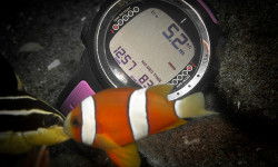 Dive Computers