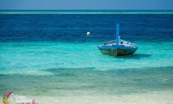 Beach & Sea