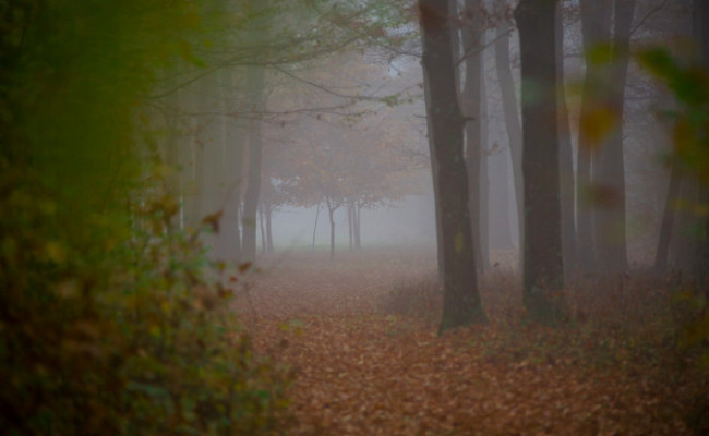 _MG_5767-pm